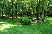 Back Woods