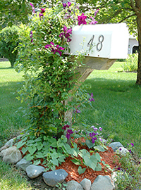 Mailbox